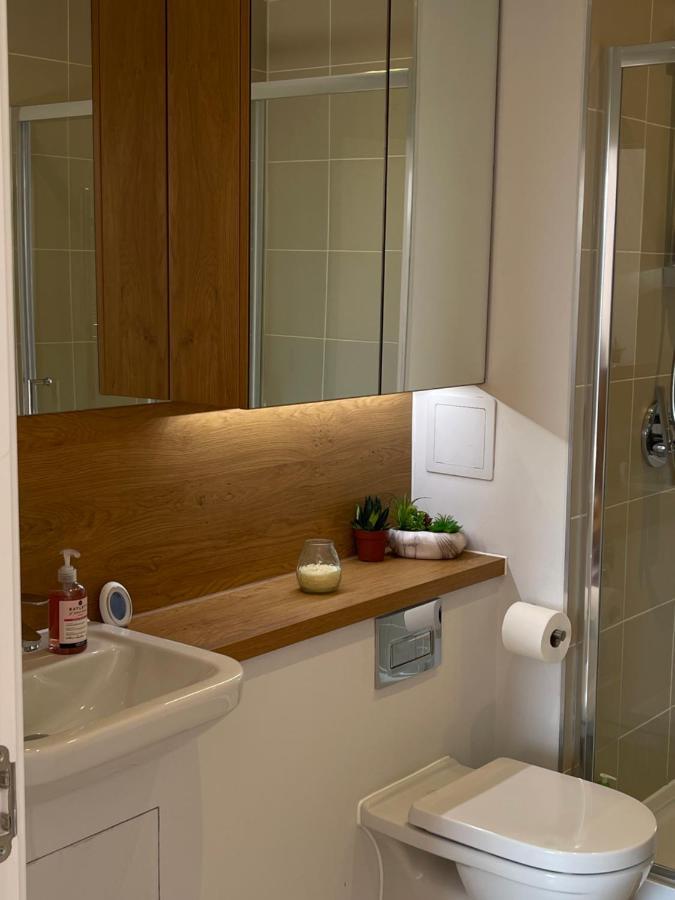 Bright Spacious En-Suite Room W/ London Views - 8Min From London Bridge! Extérieur photo